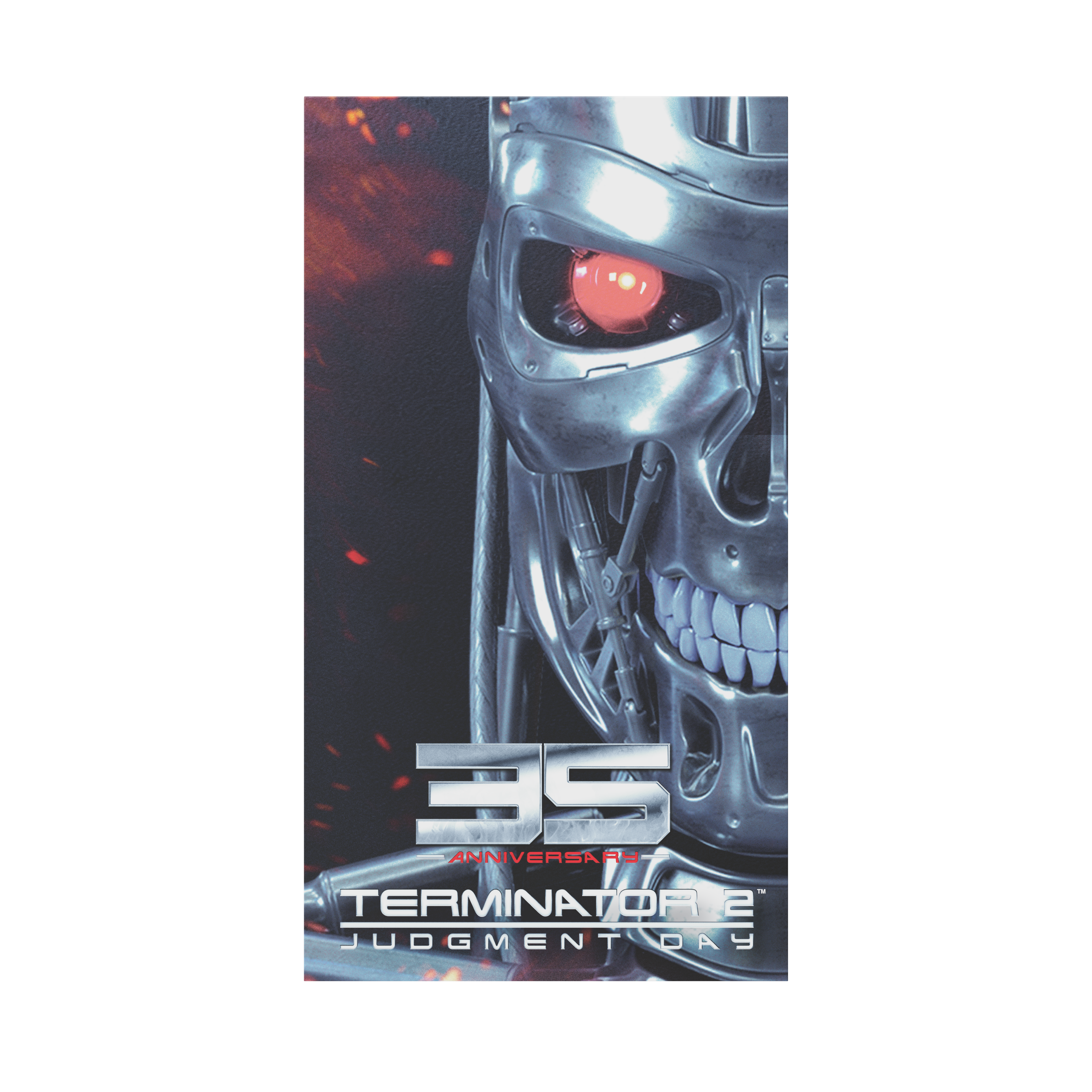 Terminator 2 VHS Case for Switch Games